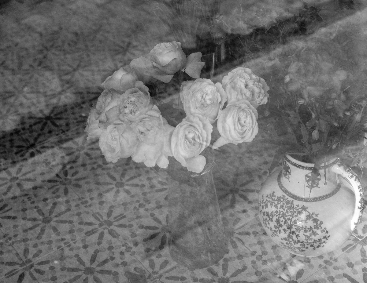 Copyright Sara Claes